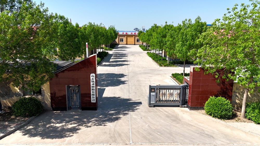 公司大门